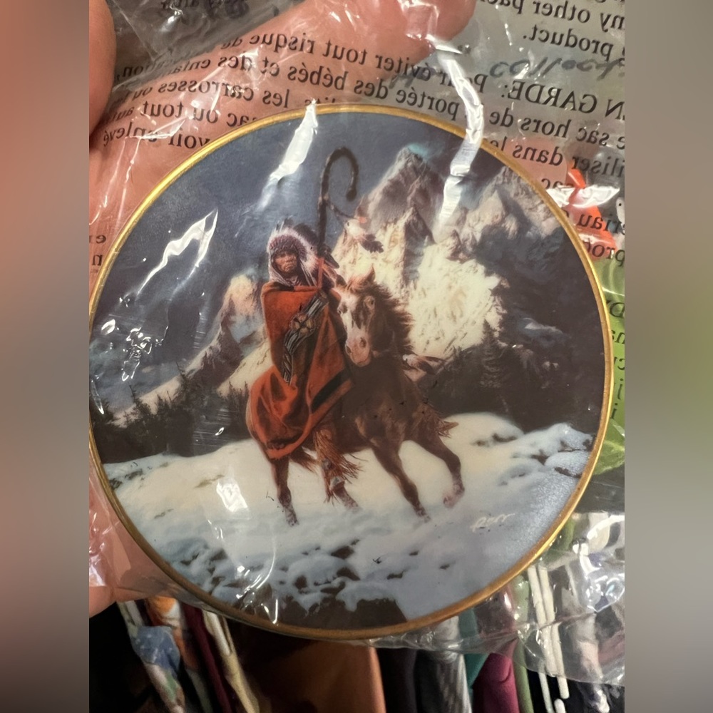 Native American collectors plate 5